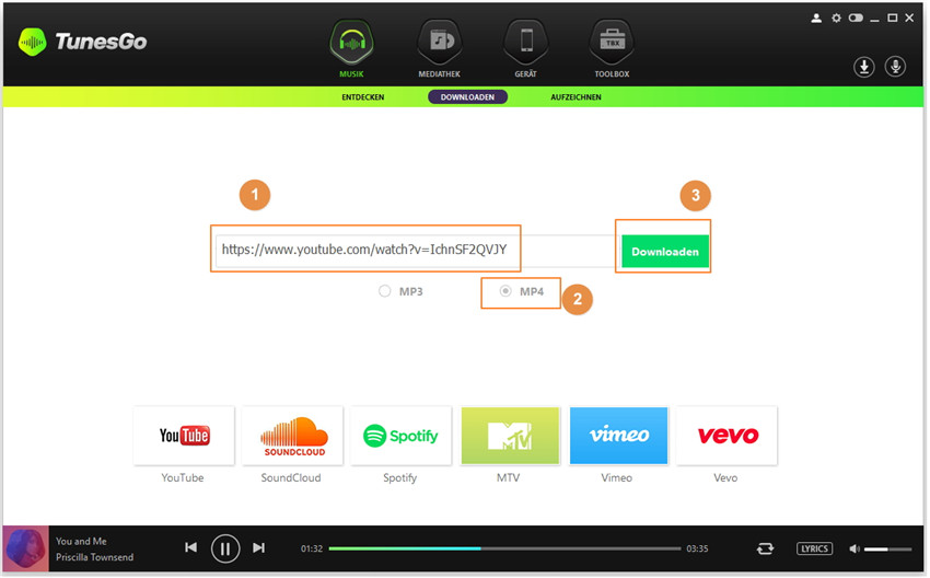 Musik von YouTube/Websites auf iTunes herunterladen