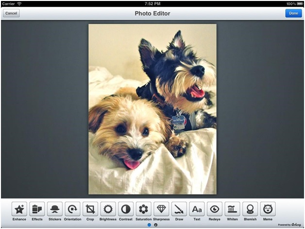 Convert Video to GIF - Aviary Photo Editor