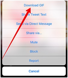 Awesome Ways to Download GIF on iPhone - Download GIF