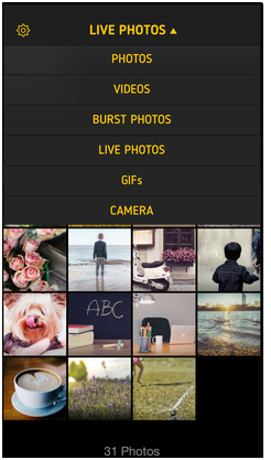 Best GIF Creation Apps for iPhone - ImgPlay