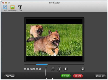 Top 5 Online Programs to Convert YouTube to GIF - GIF Director