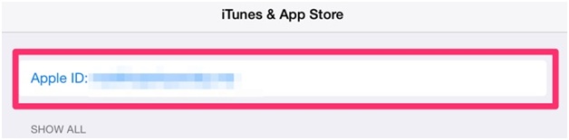 iPhone Cannot Connect to iTunes Store - Log Out App Store