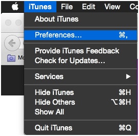 iPhone Cannot Connect to iTunes Store - Open Preferences in iTunes