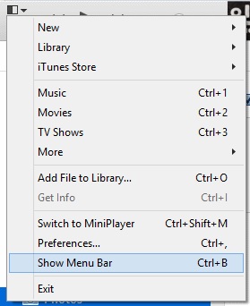 Playlist vom iPod zu iTunes kopieren - Menüleiste anzeigen Option