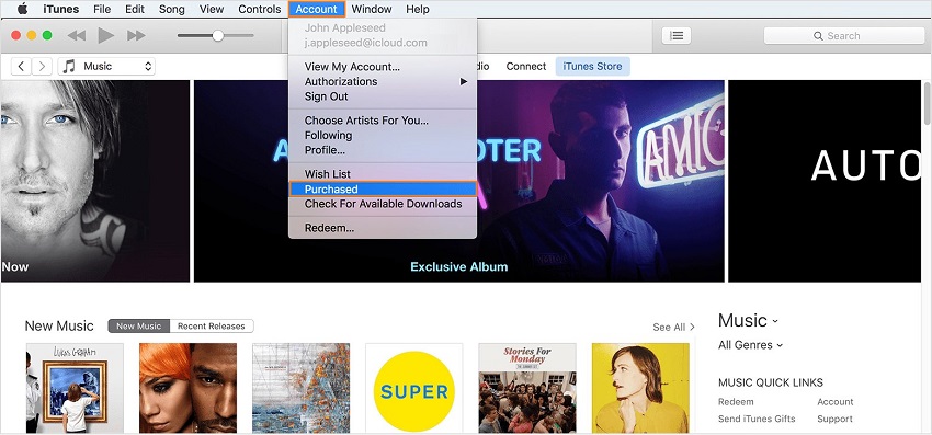 Extrahieren Sie Musik vom iPod auf Ihren Computer/in Ihre iTunes-Mediathek-Gekaufte Musikdateien.