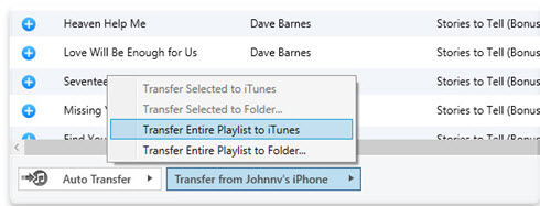Export iTunes Playlists to iPhone/iPad/iPod