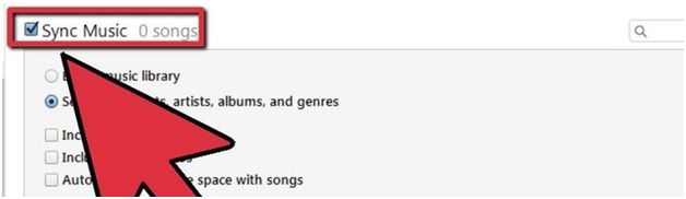 Sync Music to iPhone - check Sync Music
