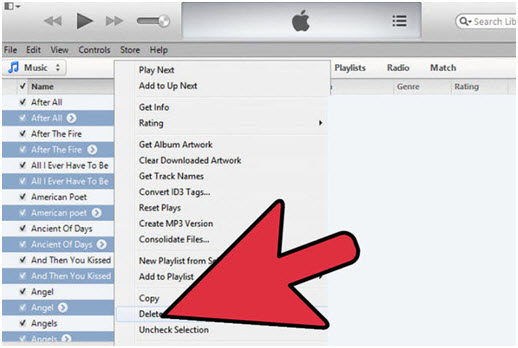 delete duplicate sonds on ipod/iphone/ipad-Delete