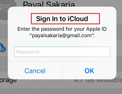 Transfer Apps From iPhone to iPad With iCloud - Log in iCloud on iPhone