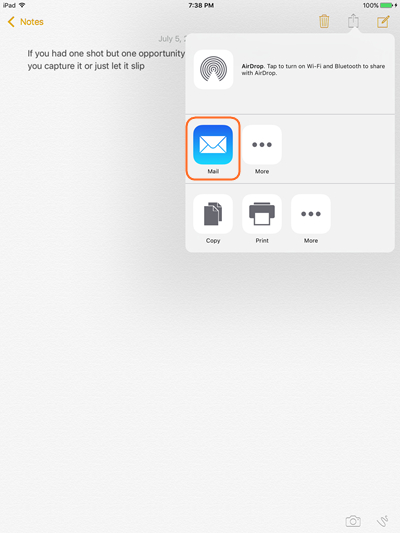 Transfer Notes from iPad to Computer Using Email - Tap Share Icon