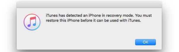 itunes détecte le mode de récupération de l'iphone 